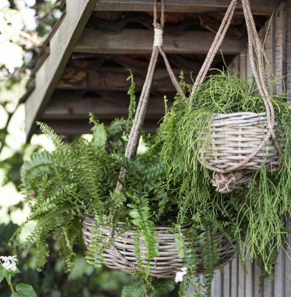 Blumenampel Hängekorb Rattan mit Juteschnur IB Laursen